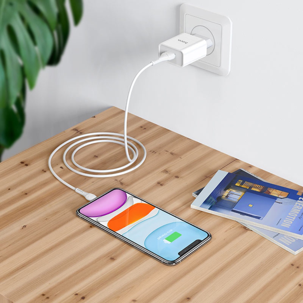 Сетевое зарядное устройство Hoco C81A USB белое + кабель USB to Lightning