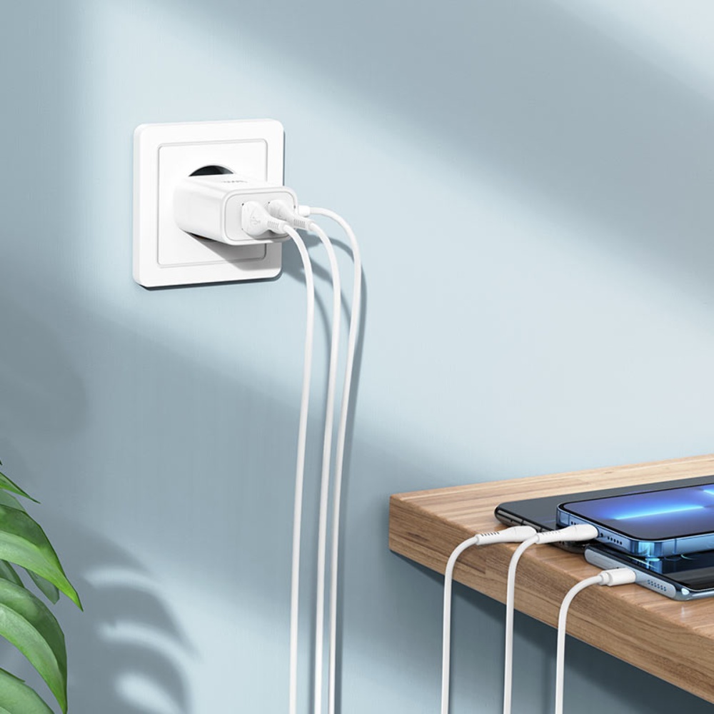 Сетевое зарядное устройство Hoco C103A 2 USB белое с кабелем Type-C