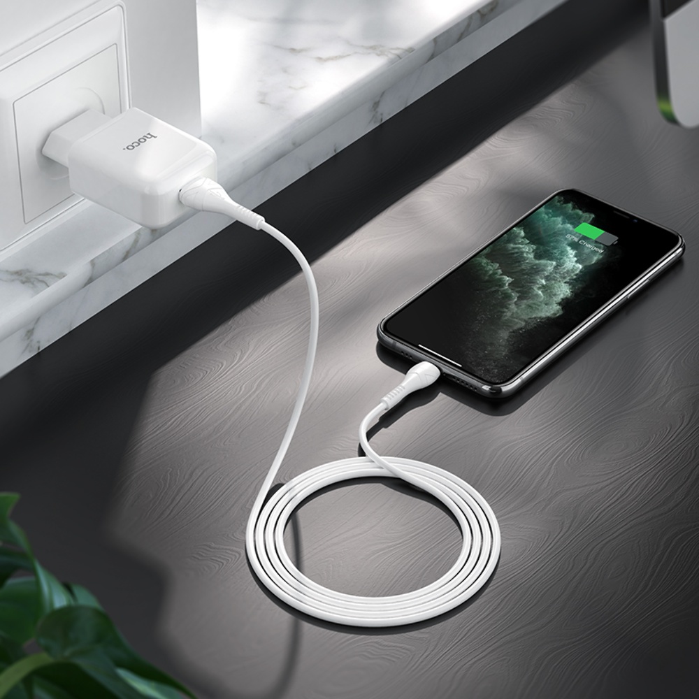 Сетевое зарядное устройство Hoco N2 USB белое + кабель USB to Lightning