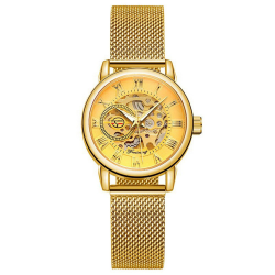 Forsining 8099 All Gold Forsining 8099 All Gold